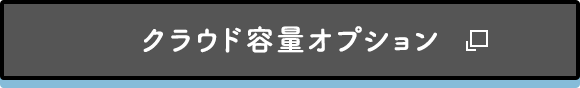 クラウド容量オプション